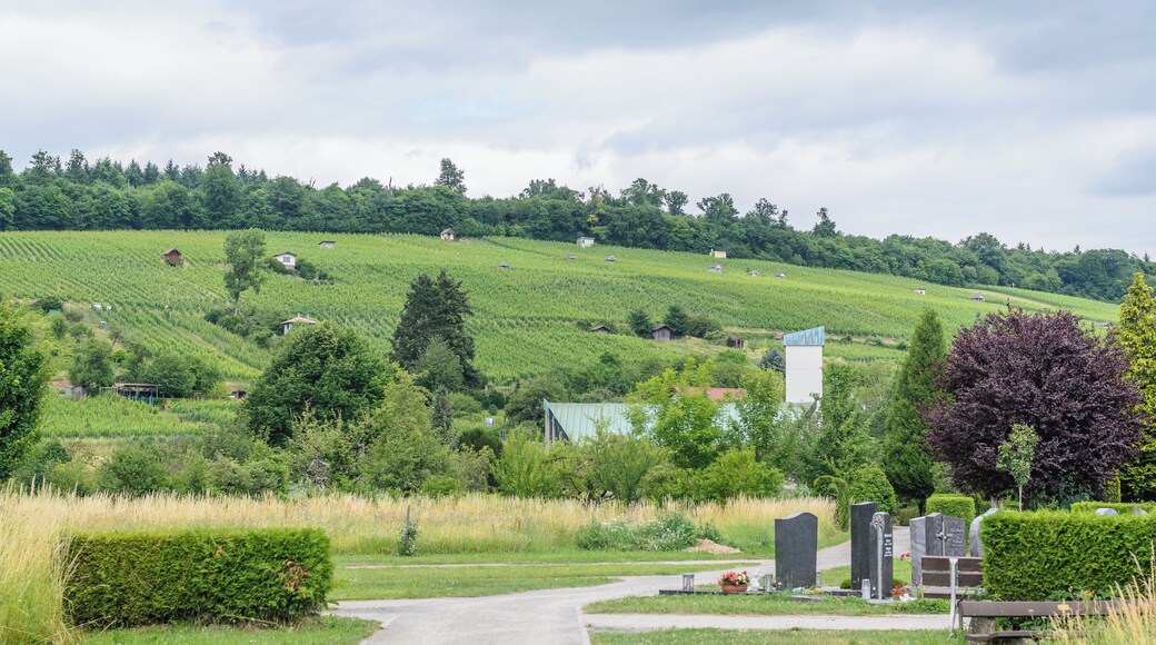 Vineyards and cemetery in Weingarten (Baden)