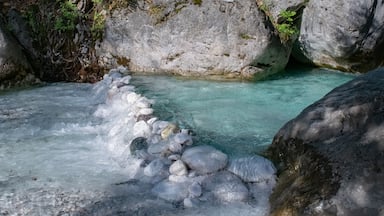 Um riacho límpido serpenteia por um desfiladeiro rochoso, com grandes pedras e rochas cobertas de musgo.