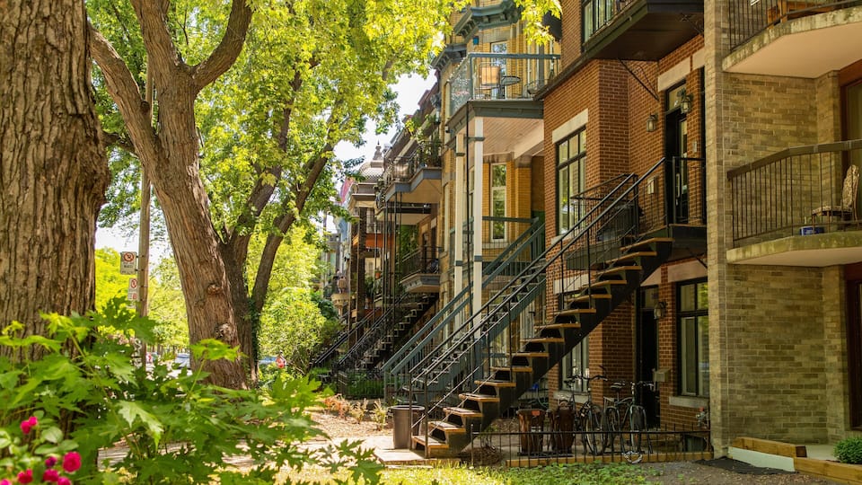 A row of brick buildings with fire escapes, surrounded by trees and greenery.