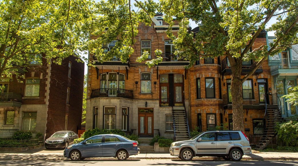 Plateau Mont Royal featuring heritage elements
