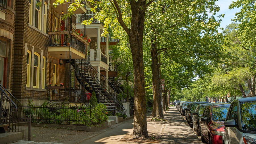 Plateau Mont Royal which includes heritage elements