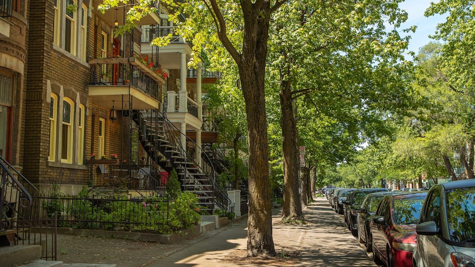 Plateau Mont Royal which includes heritage elements