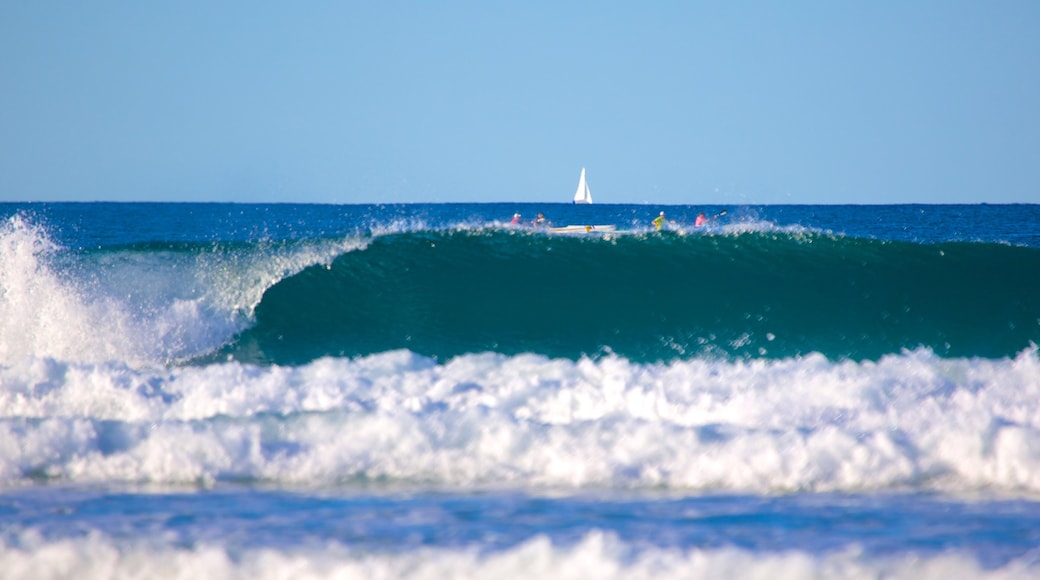 Alex Beach featuring surf