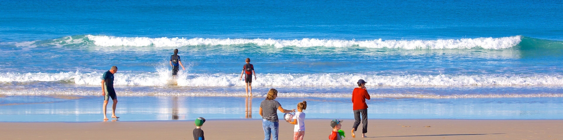 Alex Beach showing a beach as well as a large group of people