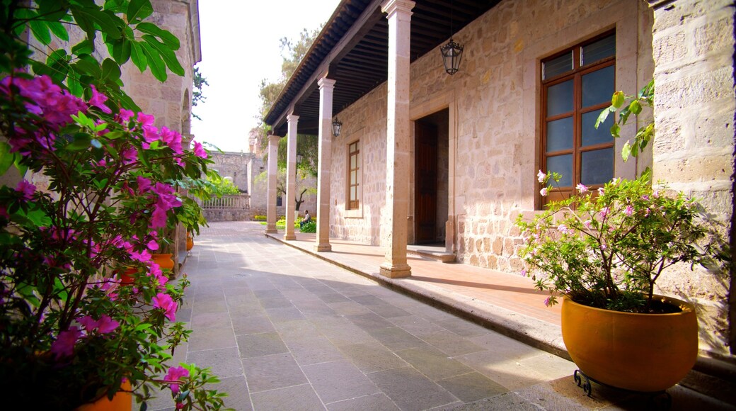 Geboortehuis van José María Morelos inclusief historische architectuur