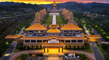 Đại Thụ