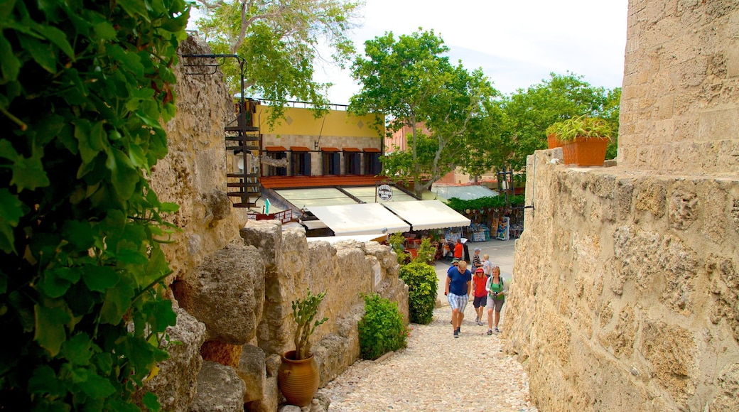 Clock Tower showing heritage architecture
