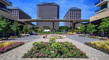 EyeEm Custom Shoots Q4 2018