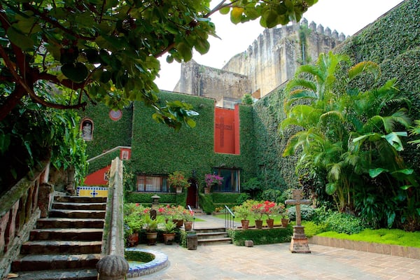 Musée Robert Brady mettant en vedette jardin
