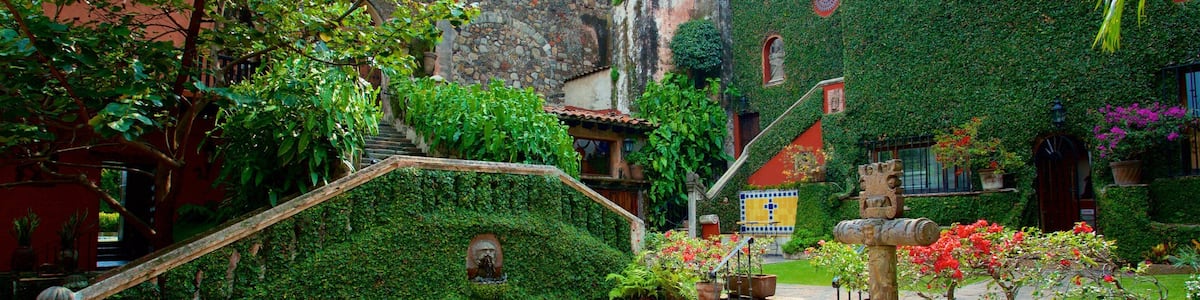 Museo Robert Brady welches beinhaltet Garten und Blumen