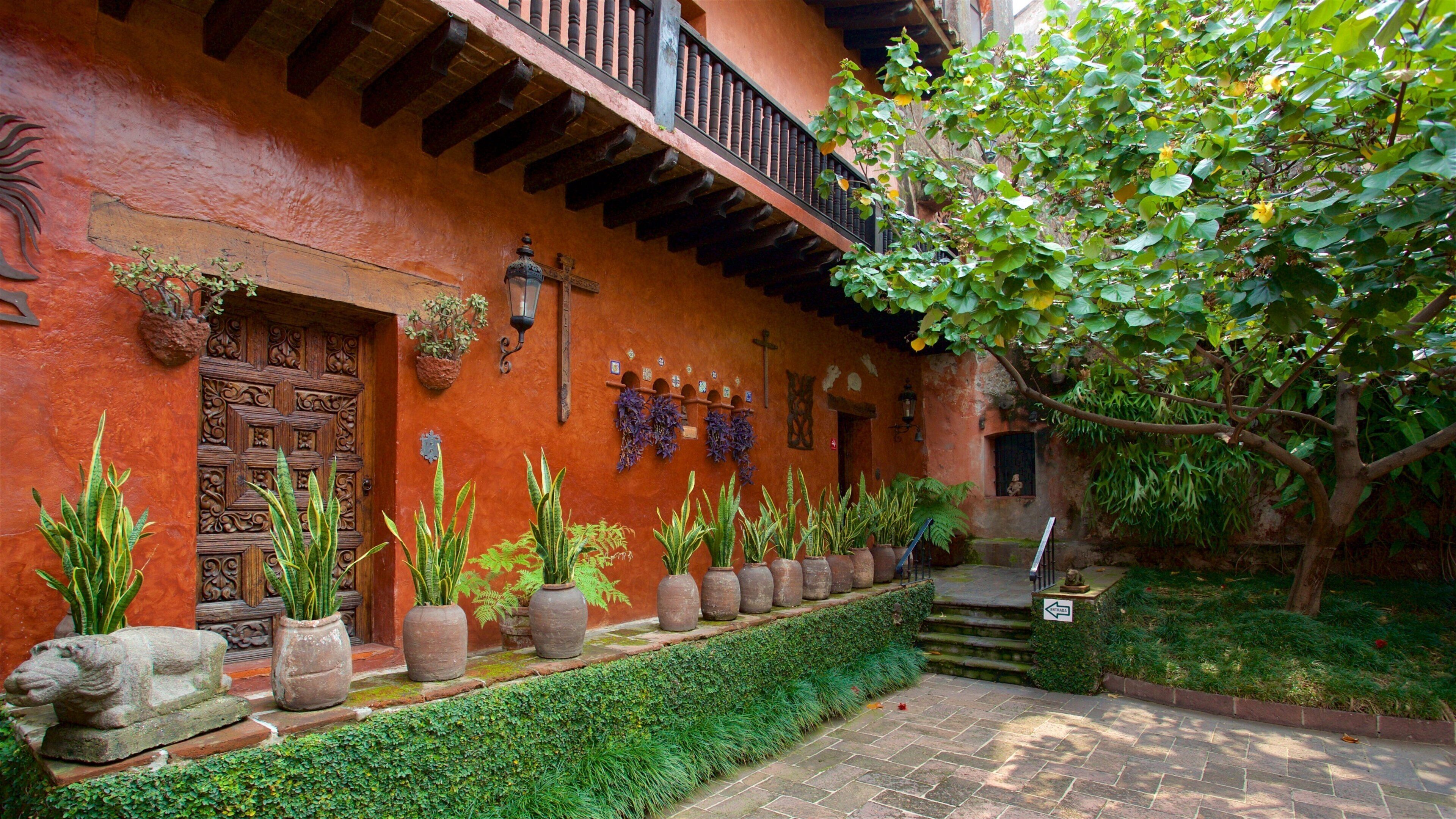 Museo de Robert Brady