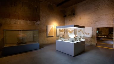 Palace of Cortes Museum which includes interior views