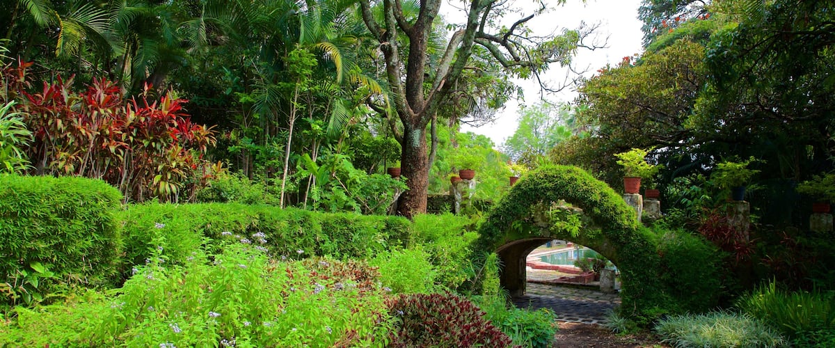 JardĂn Borda mettant en vedette parc