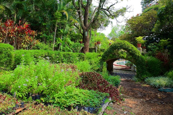 JardĂn Borda mettant en vedette parc