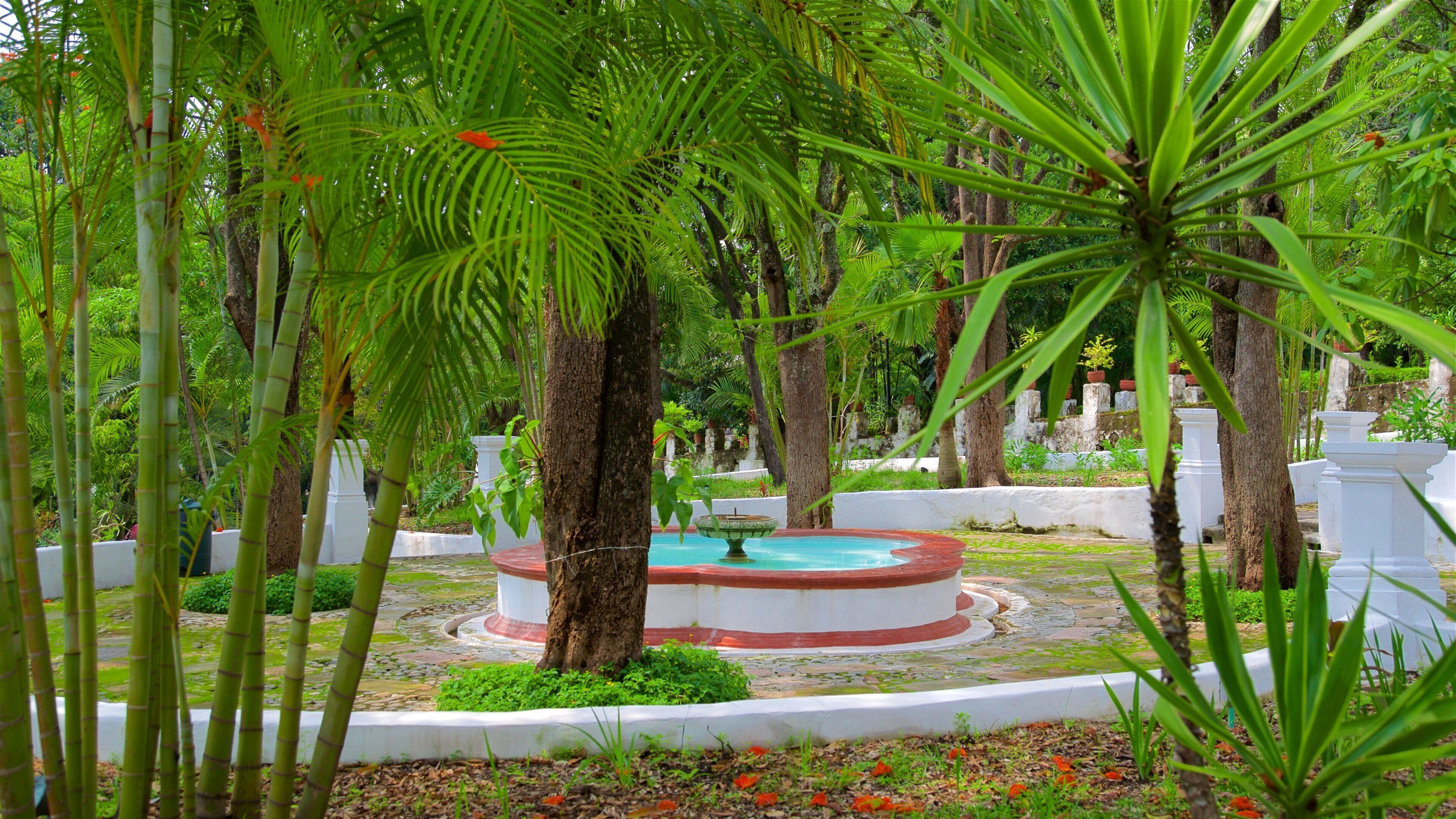 Borda Gardens showing a fountain and a park