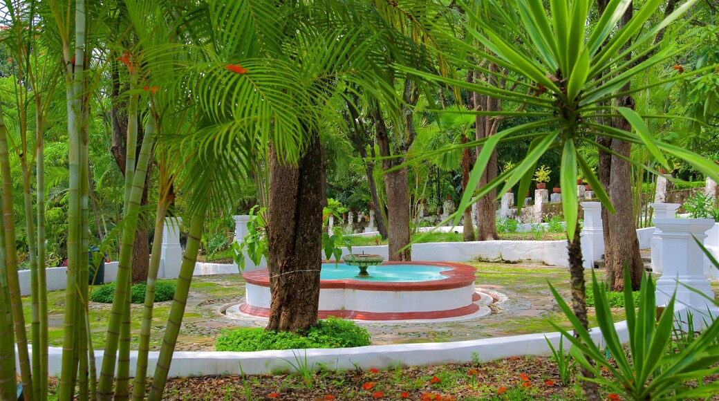 Borda Gardens showing a fountain and a park