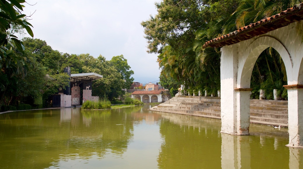 Jardín Borda ofreciendo un estanque