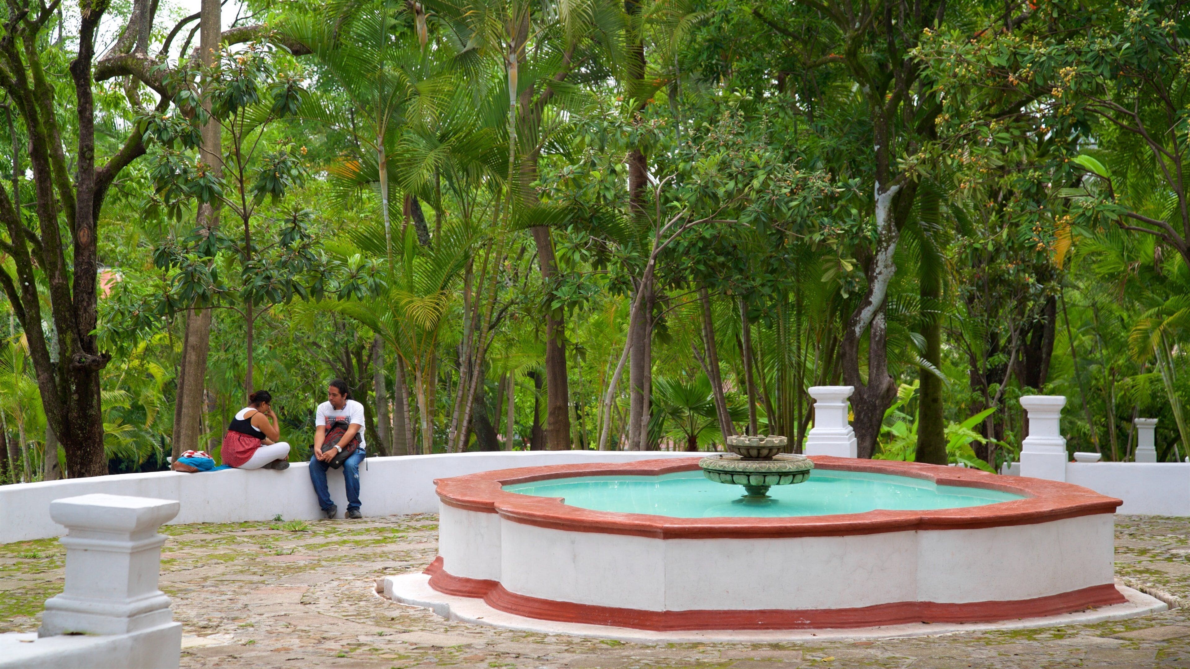 Borda Gardens which includes a fountain and a garden as well as a couple
