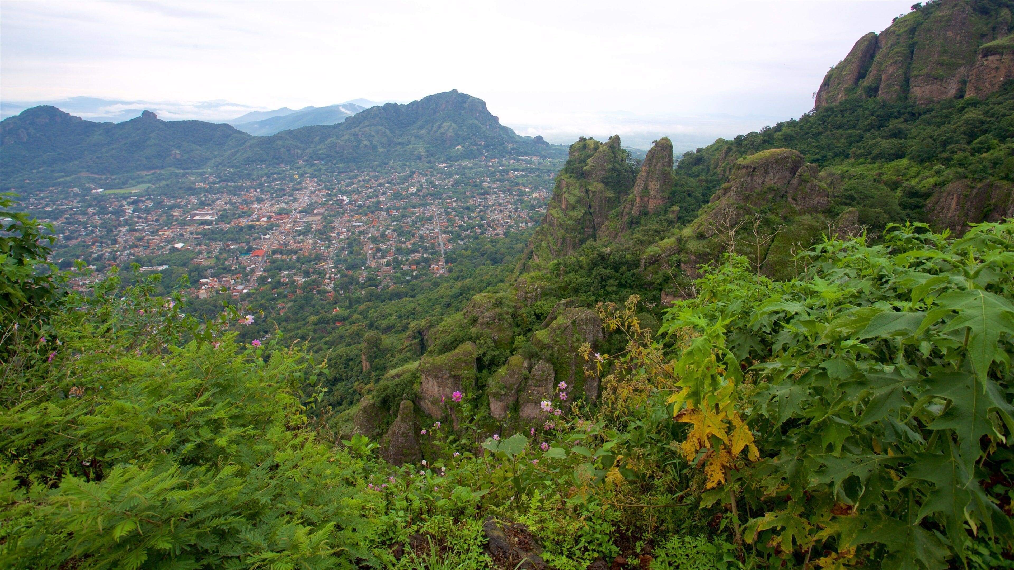 Tepozteco Pyramid showing landscape views, tranquil scenes and a city