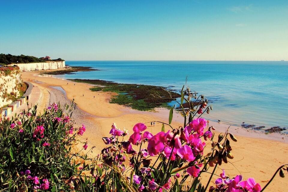 Uma praia com flores cor-de-rosa em primeiro plano, uma faixa de areia e falésias ao fundo.