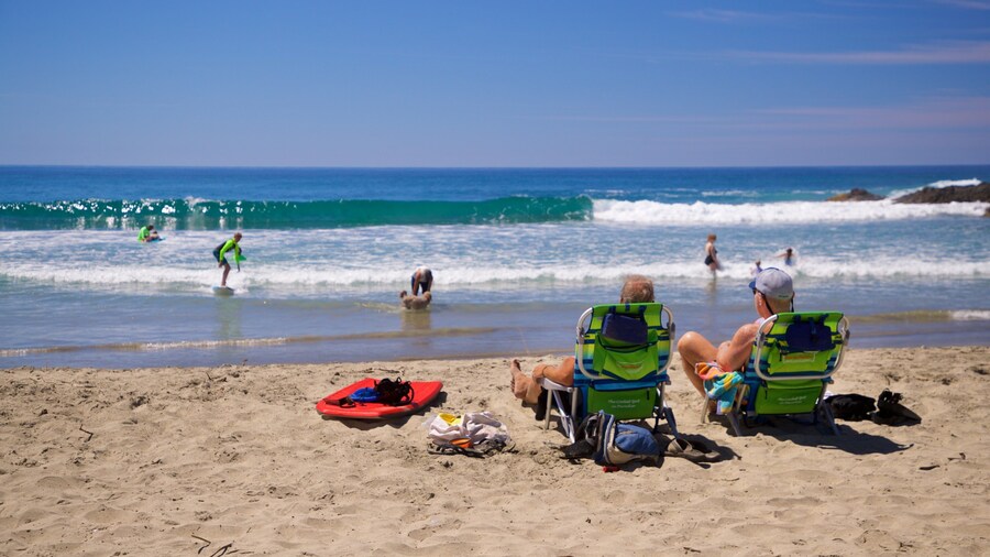 Los Cerritos Beach which includes a sandy beach and general coastal views as well as a couple