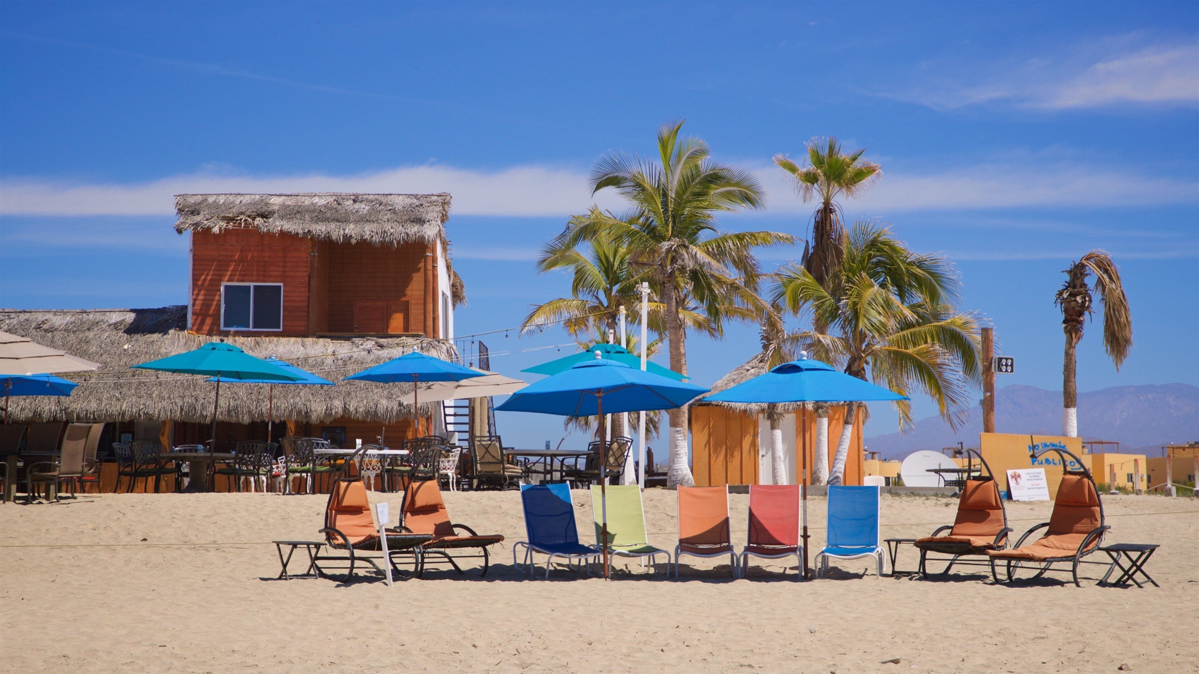 A beach with thatched-roof huts, palm trees, and lounge chairs under blue umbrellas.