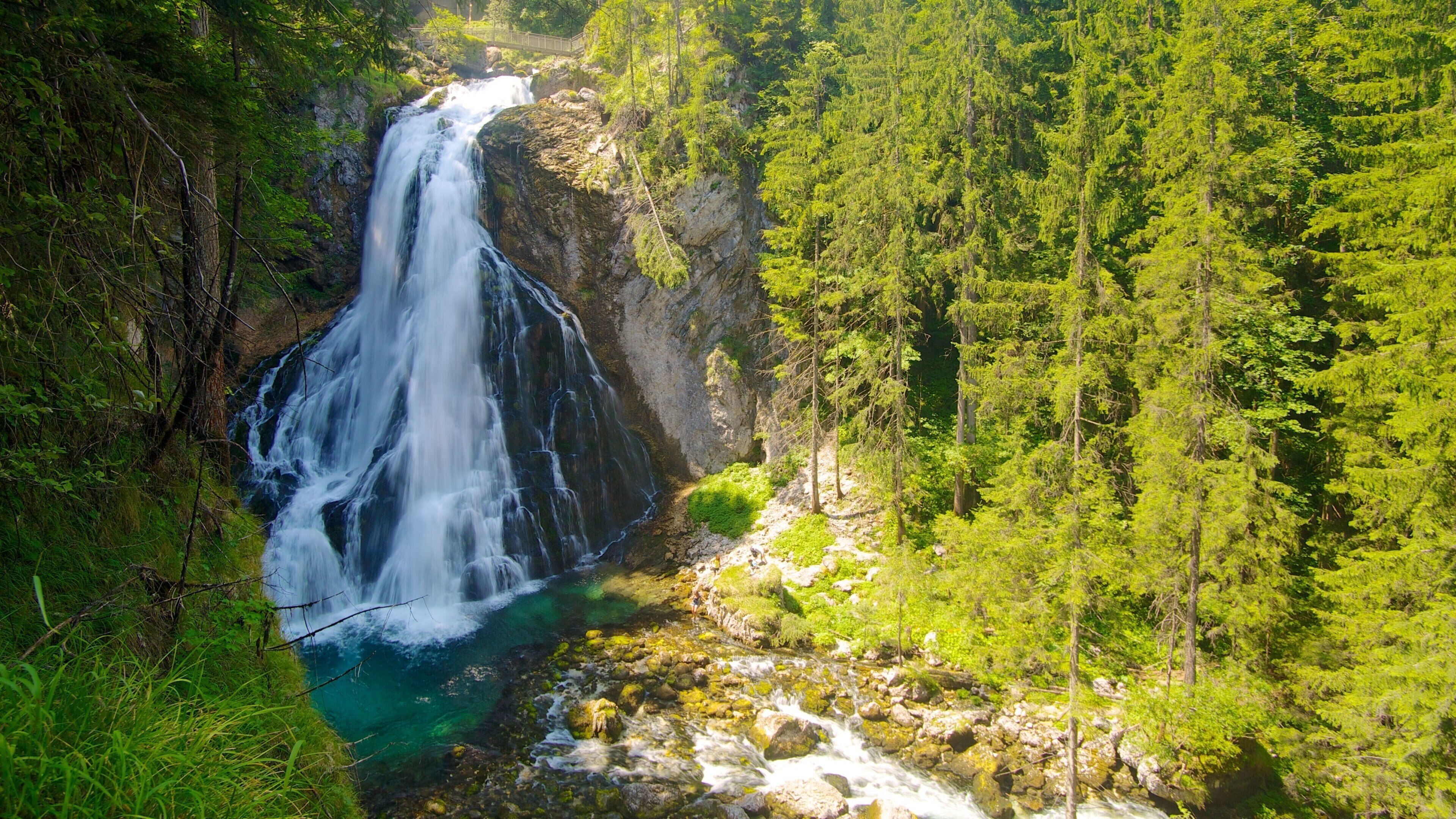 Golling Falls which includes a waterfall and forest scenes