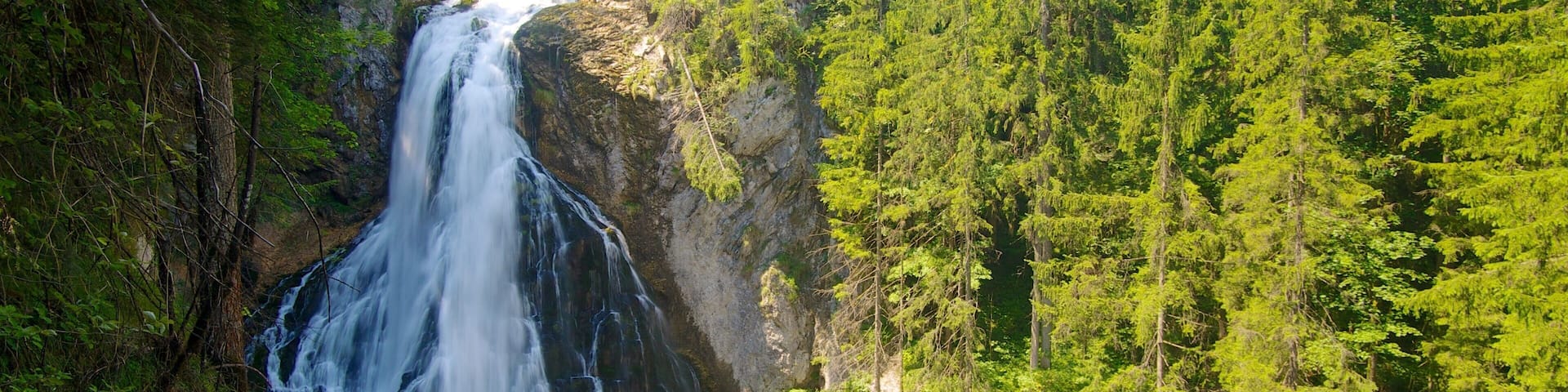 Golling Falls which includes a waterfall and forest scenes