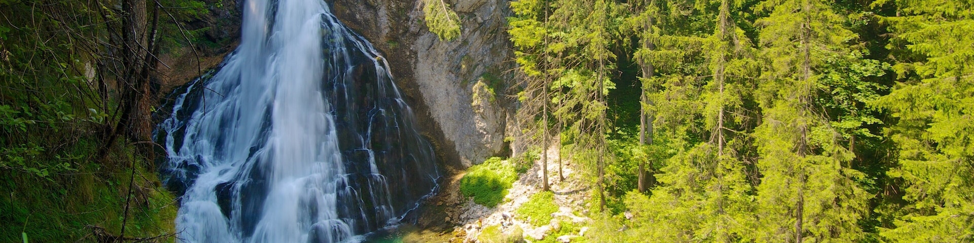 Golling Falls which includes a waterfall and forest scenes