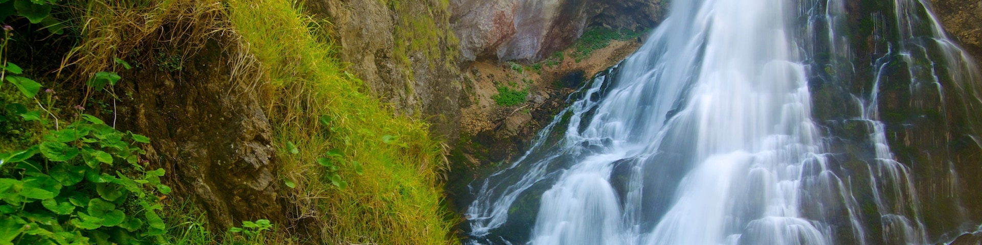 Golling Falls which includes a pond and a cascade