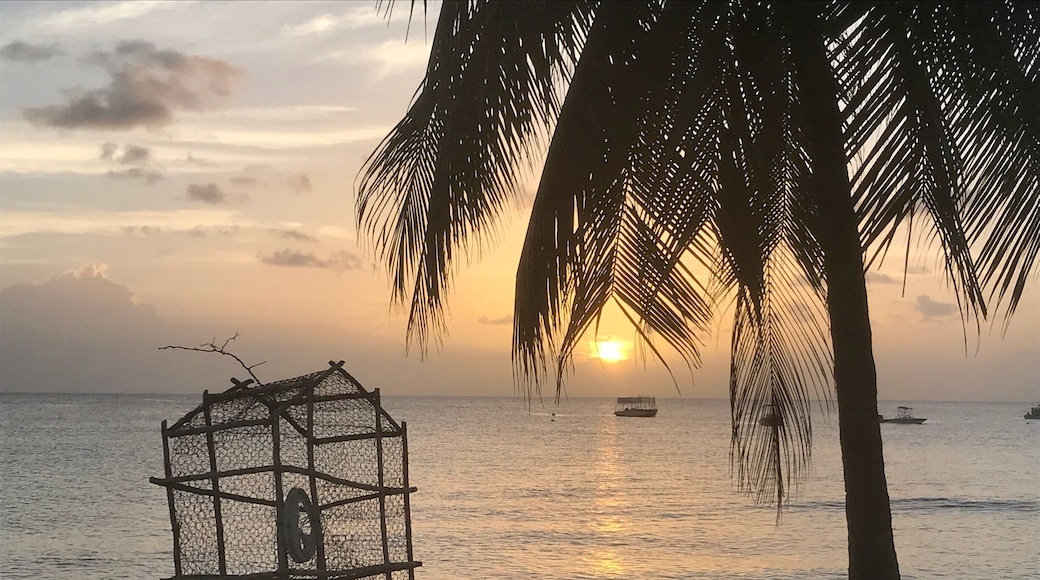 Waiting to set a trap tomorrow.