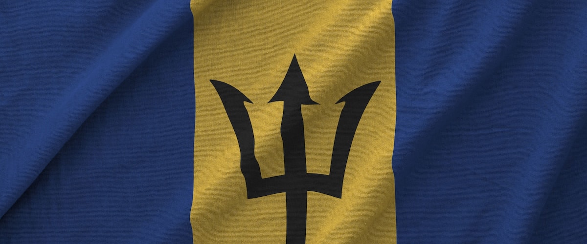 A flag with a trident symbol on a blue and yellow background.