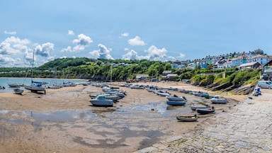 A panorama view from the harbour wall at low tide in the town of New Quay, Wales in summertime
