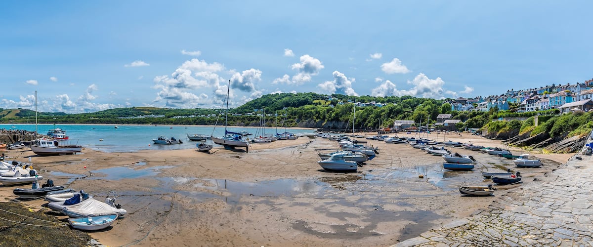 A coastal beach with numerous boats docked along the shore, a stone wall, and a backdrop of houses and greenery.
