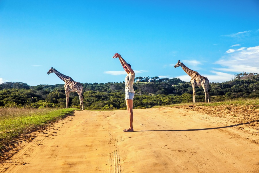 Woman standing in the middle of a dirt road in Africa making a fun posture to resamble the two giraffe in the background.