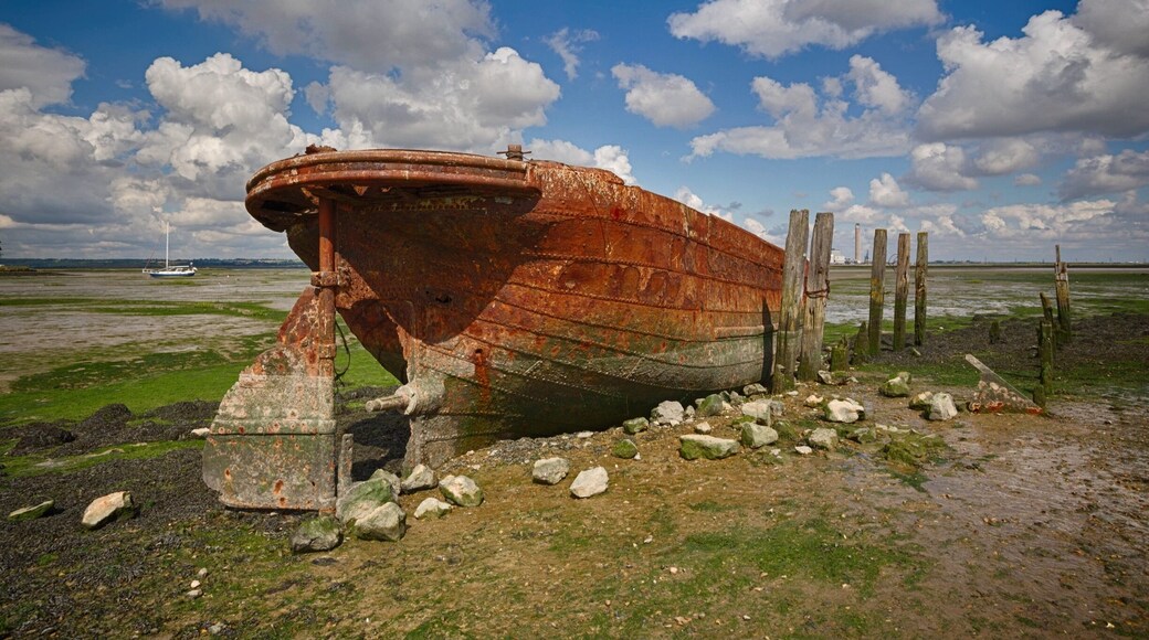 The rusting hulk of this old boat sits at the edge of the peninsula walk at the Country Park. Part of the parks 247 acres, there are some amazing sights to see from wildlife to the remains of many boats dotted along the shoreline.
With plenty of parking and a cafe at the parks entrance I would recommend this for a leisurely stroll. Or to see more it makes a great bike ride.
#Beachbound #Abandoned