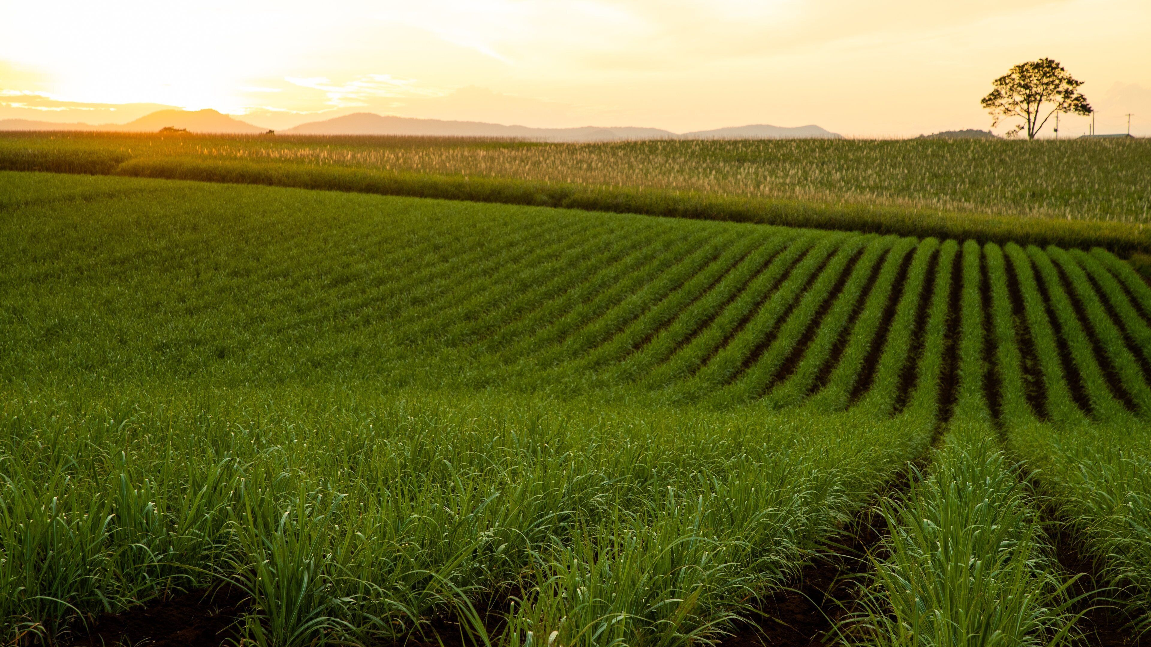 Crater Lakes National Park showing a sunset, landscape views and farmland