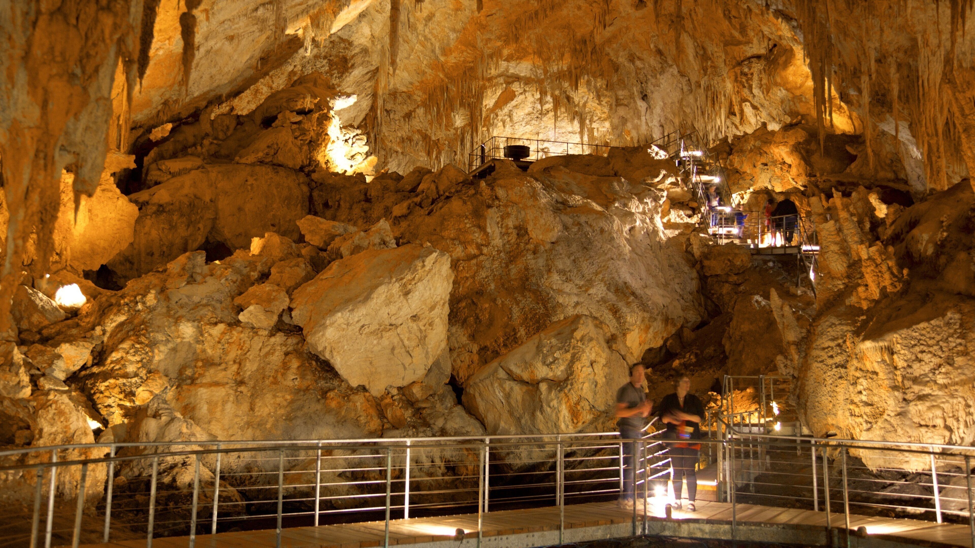 Mammoth Cave which includes caves as well as a couple