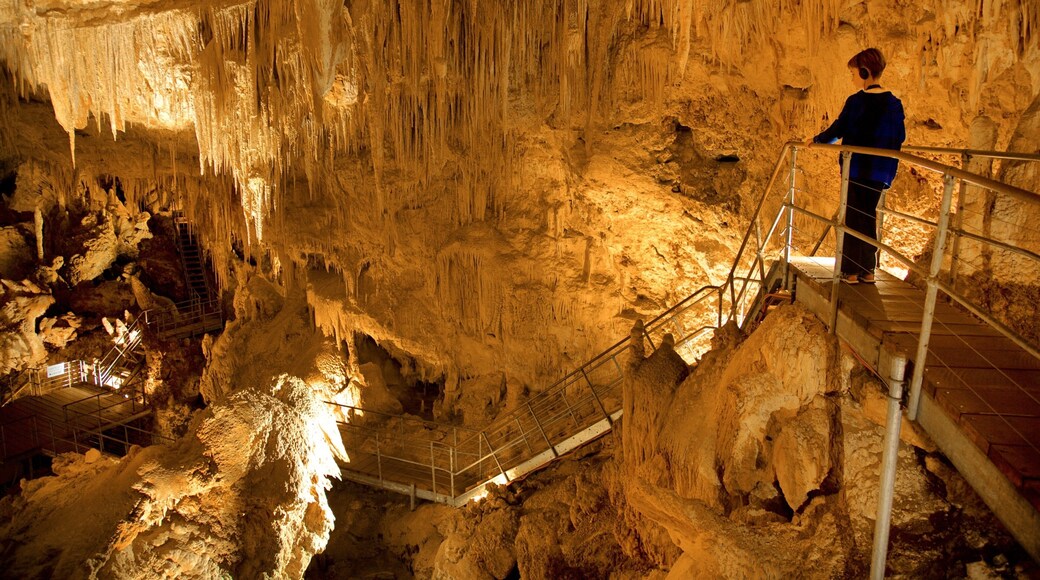 Mammoth Cave which includes caves as well as an individual child