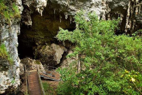Mammoth Cave showing caves and forest scenes