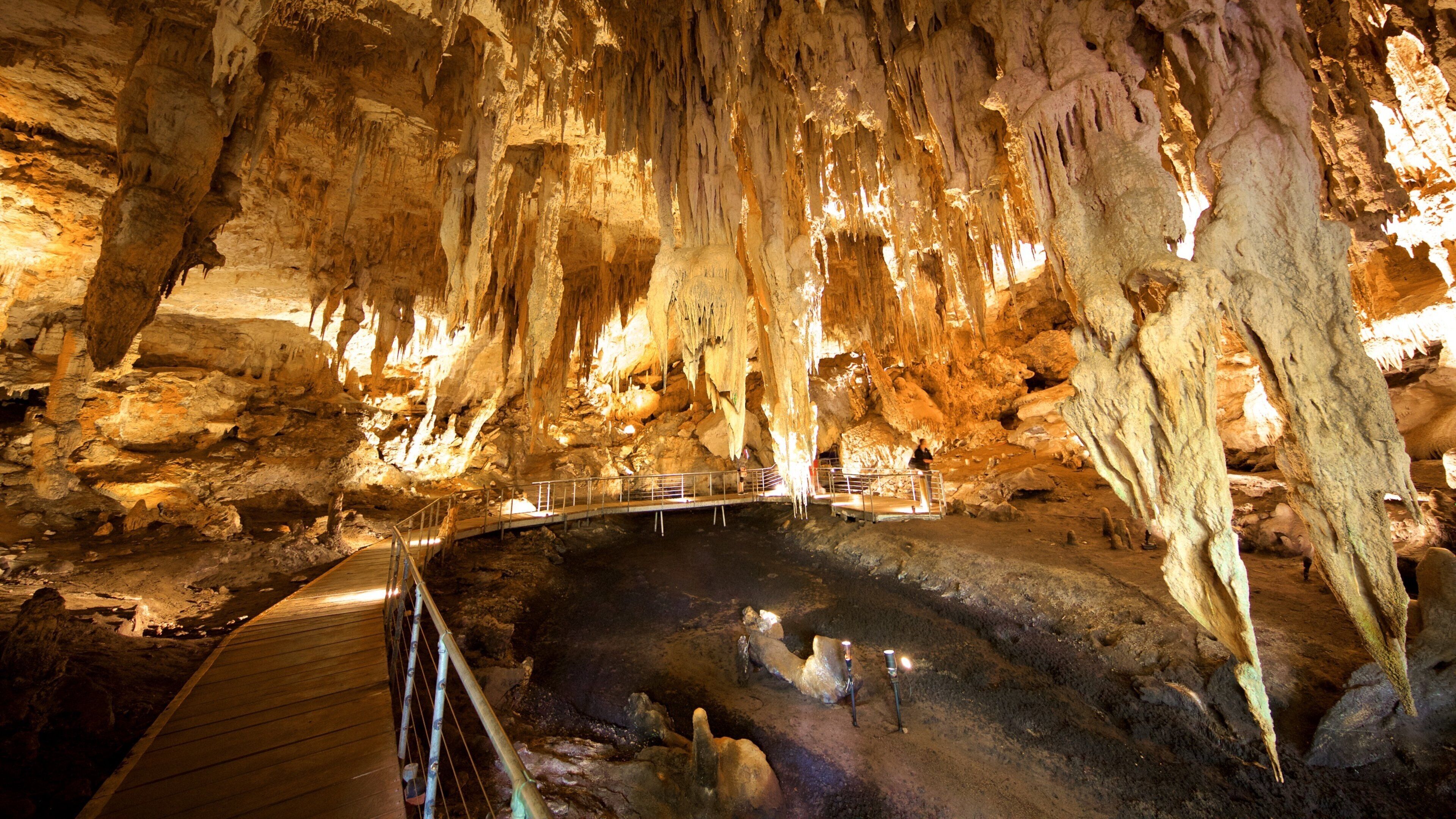 Mammoth Cave showing caves