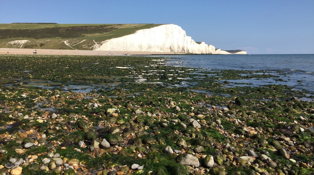 Seven sisters