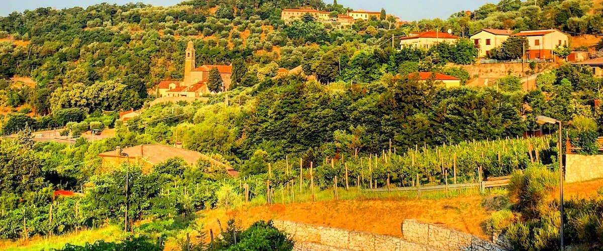 A winding road through a hilly landscape with vineyards, a church, and residential buildings.