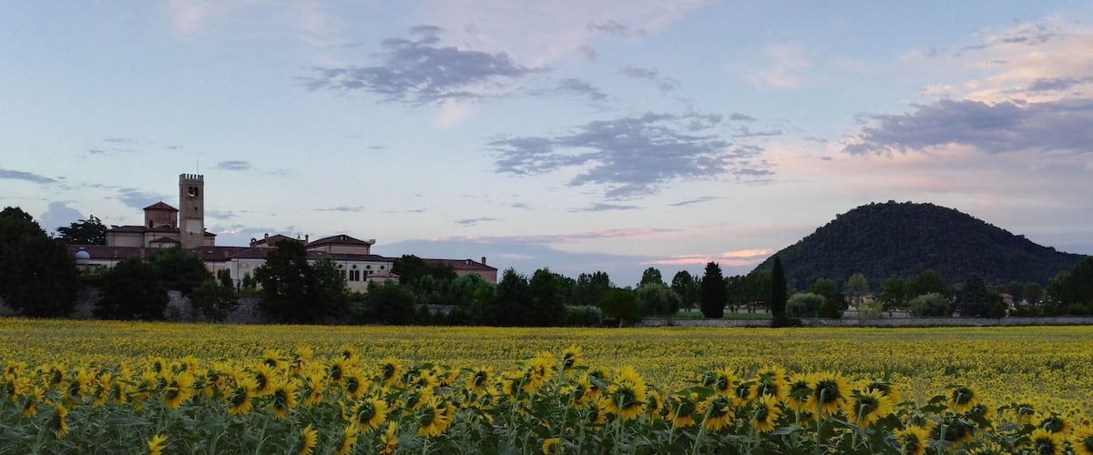A sunflower field, a hill, and a building with a tower.