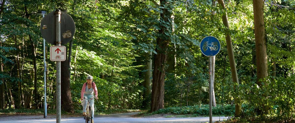 Eilenriede caracterizando um jardim e ciclismo
