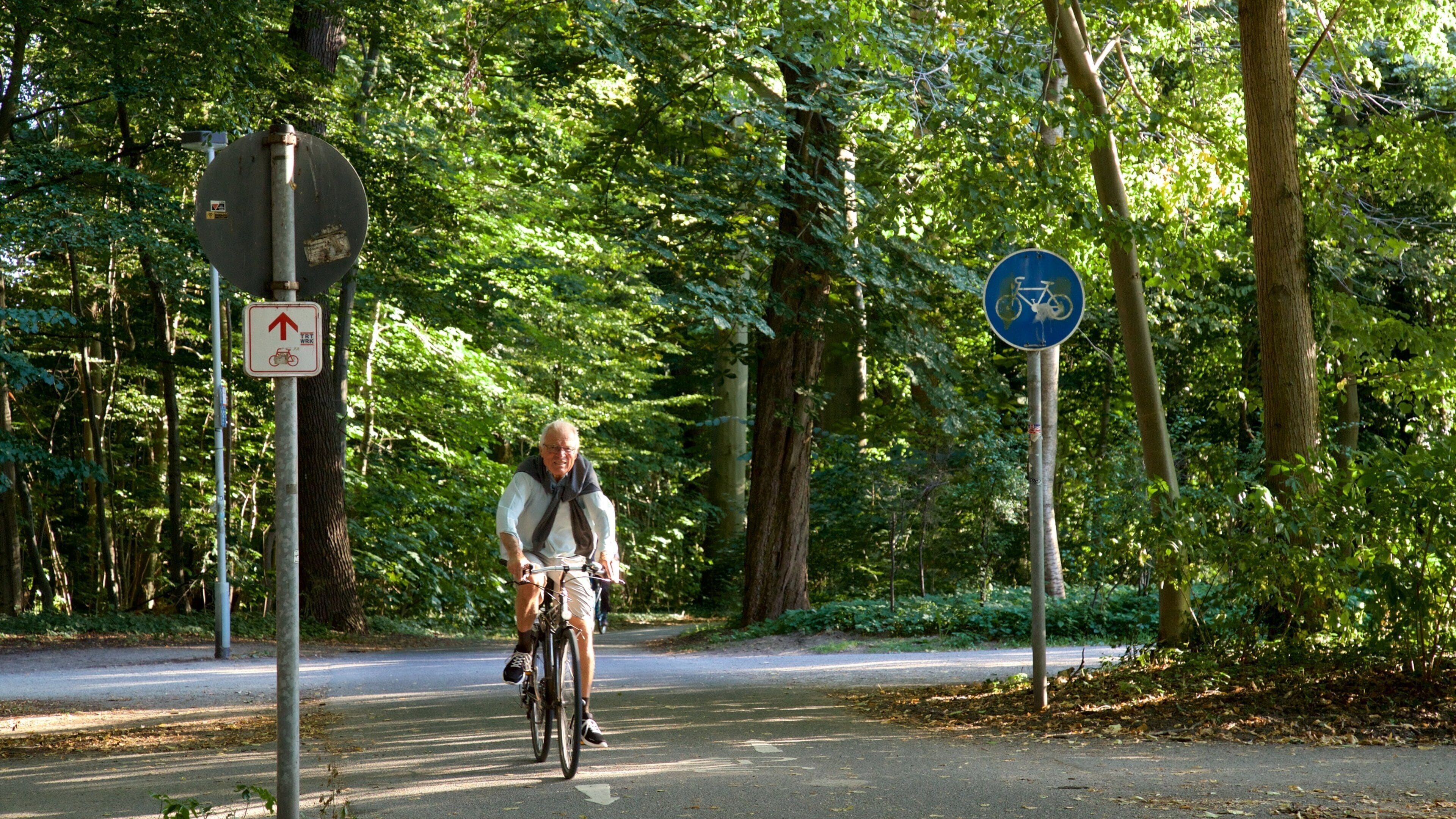 Eilenriede showing cycling and a garden