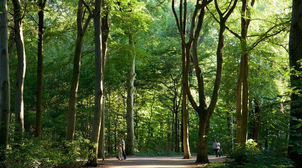 Eilenriede montrant jardin