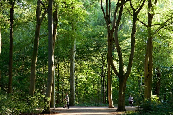 Eilenriede das einen Garten