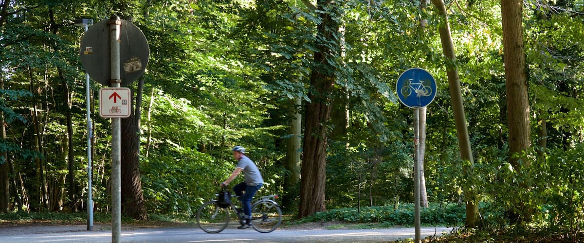 Eilenriede ofreciendo un jardín y ciclismo