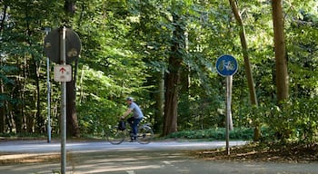 Eilenriede which includes cycling and a garden